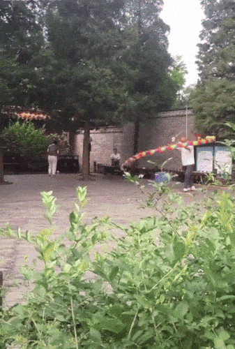 tumblr_par3yoWoKn1vdtzvgo1_400.gif