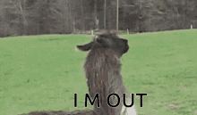 tenor.gif
