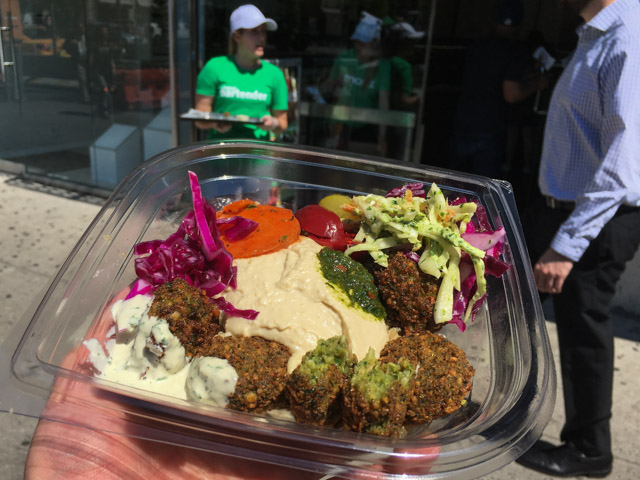bestfalafelmaoz-12.jpg