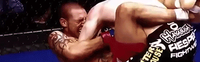 tumblr_n3p6knDfx01ry1rm7o6_r1_400.gif