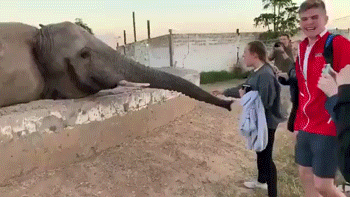 8c9c8396e211379efb69a67f4e2b37fc.gif