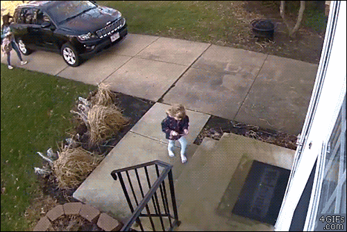 giphy.gif