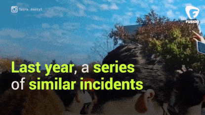 tumblr_oebgh2jysd1u3awlbo10_500.gif
