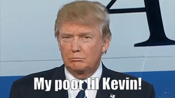 MY-KEVIN.gif