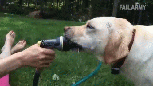 water-spray.gif