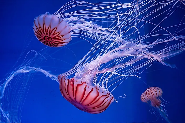 shutterstock-354107525.jpg