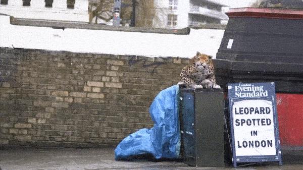 tumblr_p01ivtX6WB1wiylv6o1_540.gif