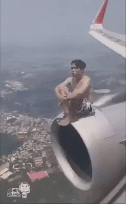 giphy.gif