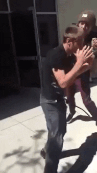 giphy.gif