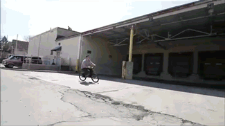 83330929.gif