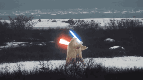 tumblr_o6daysrbe31qbi859o1_500.gif