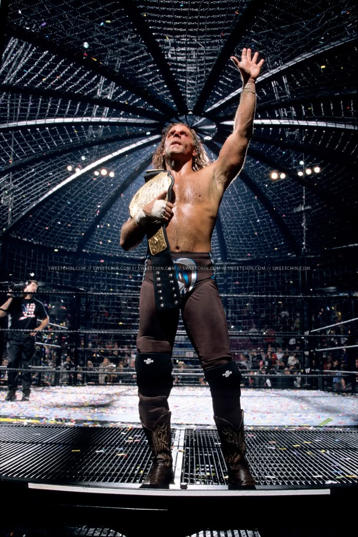 bed92cd5e86c641398492d3e53271e82--shawn-michaels-fan-art.jpg