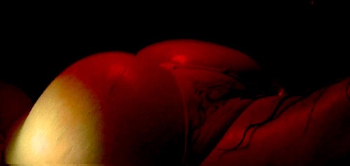 tumblr_m66pj1O3CX1qk2dyto1_500.gif