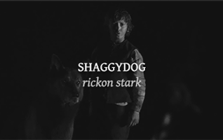 tumblr_o8v4y2WVho1u79aijo1_400.gif