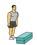 plyometric_exercises_jump_to_box.gif