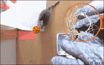 spacejam-slam.gif