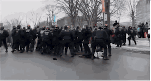 tumblr_o0nb7yUPHo1ri8uubo6_400.gif