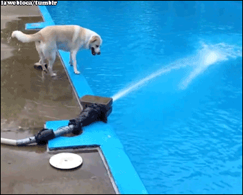 tumblr_mo8zf6WBun1s02vreo1_400.gif