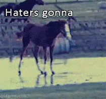 1335509076820.gif
