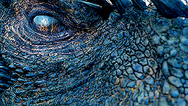 tumblr_oun61bk8gM1rszoo3o6_r1_400.gif