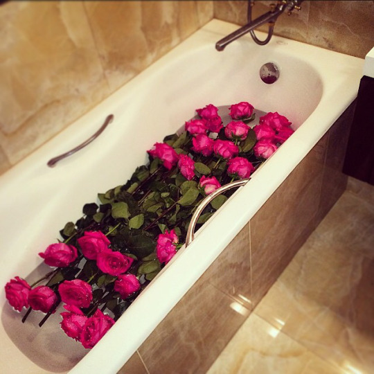 tumblr_niuviaHNkJ1qk5jx0o1_540.jpg