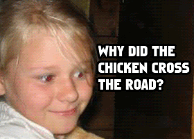 chicken.gif