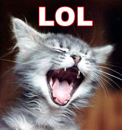 lol_cat1.jpeg