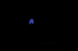 tumblr_ntniwy8C5m1s8zet3o8_r1_400.gif