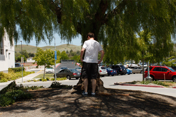 ben-climbs-tree.gif