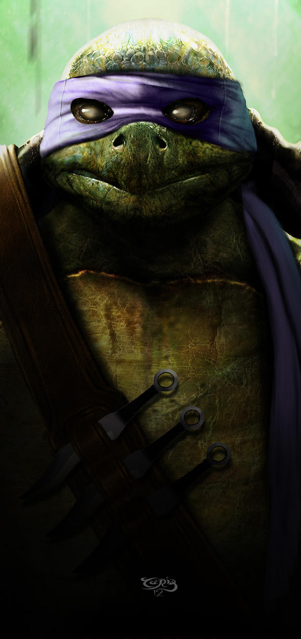 tmnt_don_teaser_by_tariq12-d56ae6m.jpg