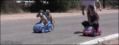 tumblr_n56f52IJqZ1qdlh1io1_400.gif
