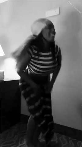giphy.gif