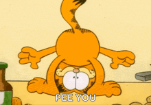 garfield-funny.gif