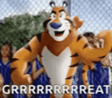 tenor.gif