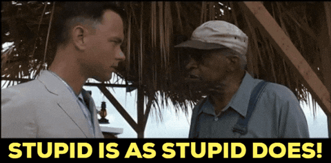 stupid-is-as-stupid-does-stupid.gif