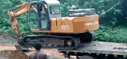 La-que-has-liado-macho_zpsfa6ed26e.gif