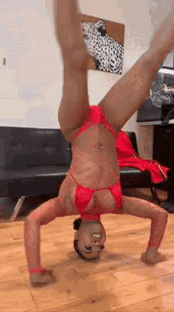 stripper-split.gif