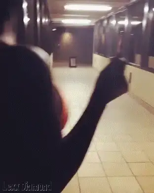 1AwfJ8.gif