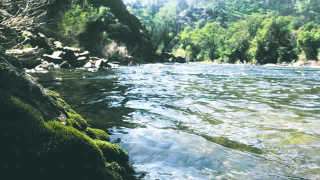 tumblr_ovw5zvVWhR1uvsi7jo1_1280.gif