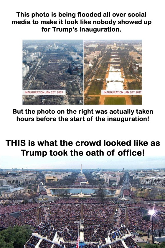 SMALL_faketrumpcrowd.jpg