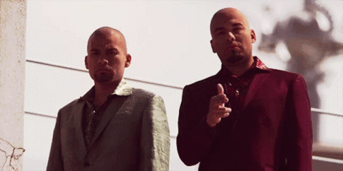 twin-bros.gif