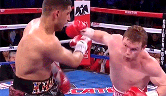 tumblr_o6vpgmVWyR1qfyw7mo1_400.gif