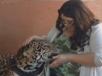 tumblr_o0zcey0v9q1ukldkho1_400.gif