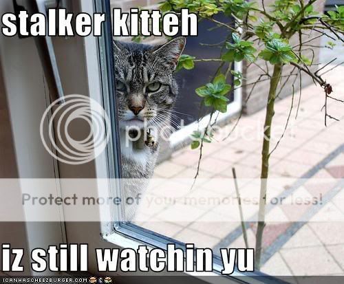 STALKER.jpg
