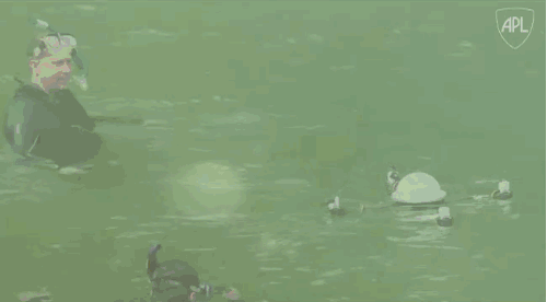 tumblr_o4e4ykRUSN1r3kmkso1_500.gif