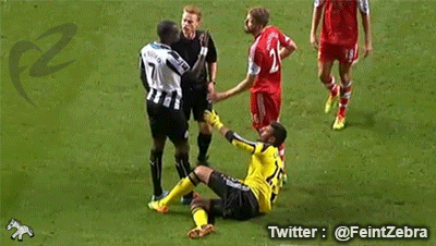 Ref-gif-final.gif