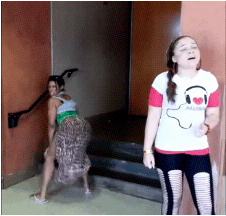 tumblr_mrwct7KaR91s65rzwo2_250.gif