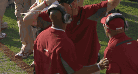 gamecockassistantcoachesfighting.gif