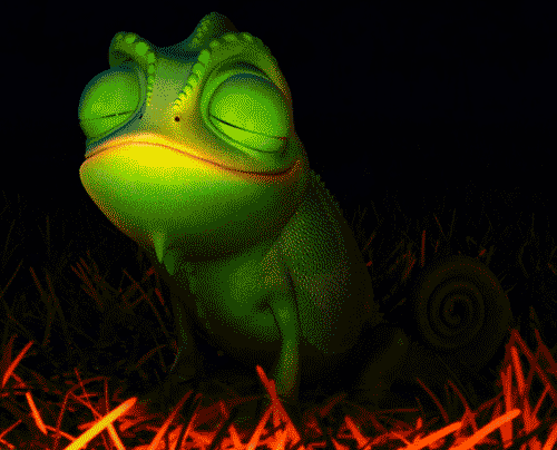 tumblr_m0sxna4MWN1rqfhi2o1_500.gif