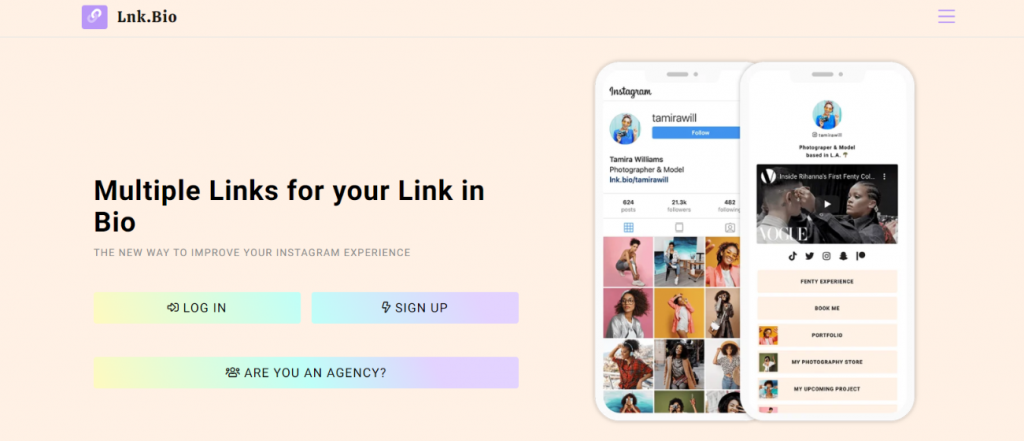 screenshot-lnk.bio-2021.01.08-10_39_12-1024x441.png